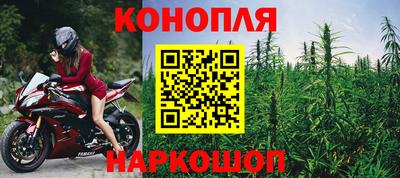 гашик Ипатово