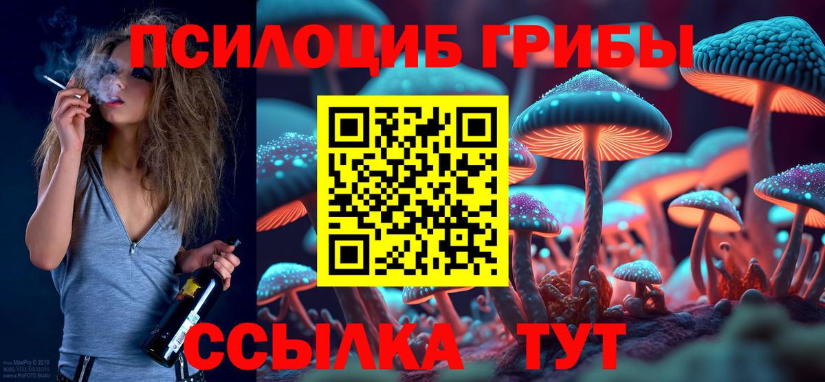 Благовещенск  Псилоцибиновые грибы мухоморы  Вход с VPN 